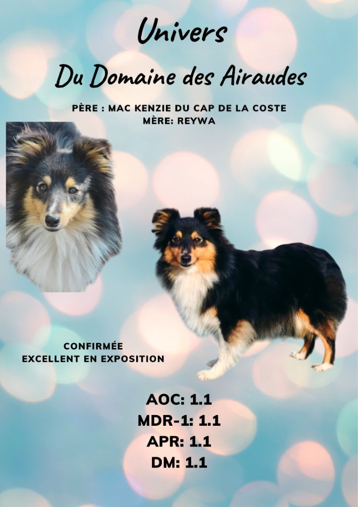 Univers du Domaine des Airaudes