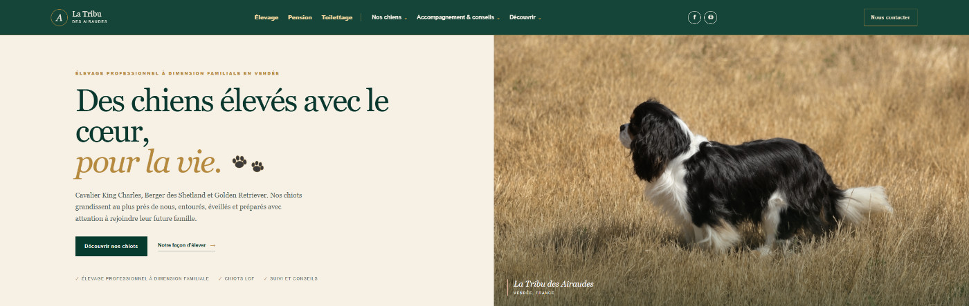 Nouveau site internet